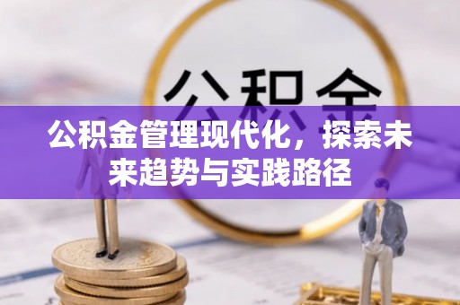 南朗公积金管理现代化，探索未来趋势与实践路径