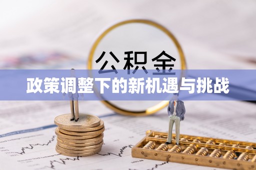 南朗政策调整下的新机遇与挑战