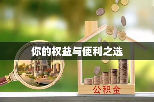南朗你的权益与便利之选
