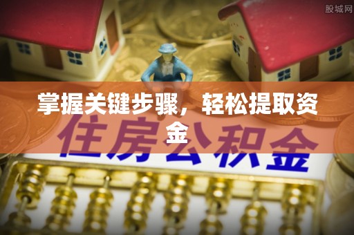 南朗掌握关键步骤，轻松提取资金