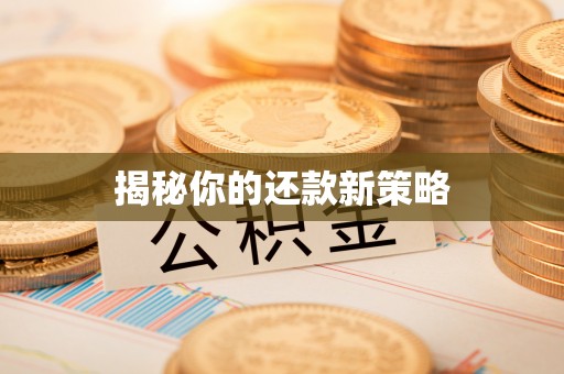 南朗揭秘你的还款新策略