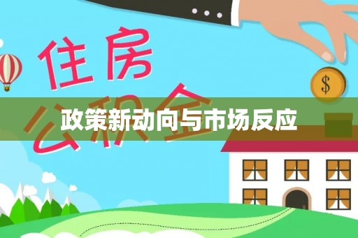 南朗政策新动向与市场反应