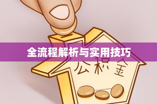南朗全流程解析与实用技巧