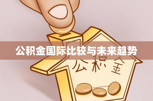 南朗公积金国际比较与未来趋势