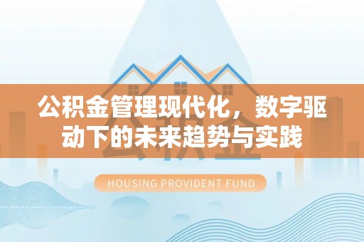 南朗公积金管理现代化，数字驱动下的未来趋势与实践