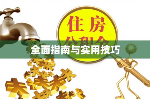 南朗全面指南与实用技巧