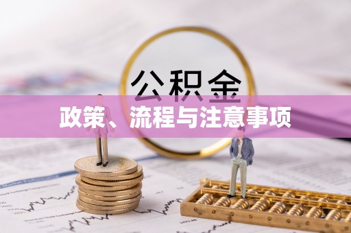 南朗政策、流程与注意事项