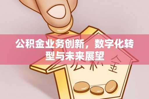 南朗公积金业务创新，数字化转型与未来展望