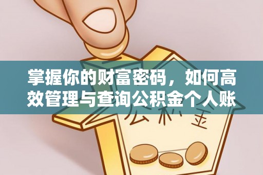 南朗掌握你的财富密码，如何高效管理与查询公积金个人账户信息