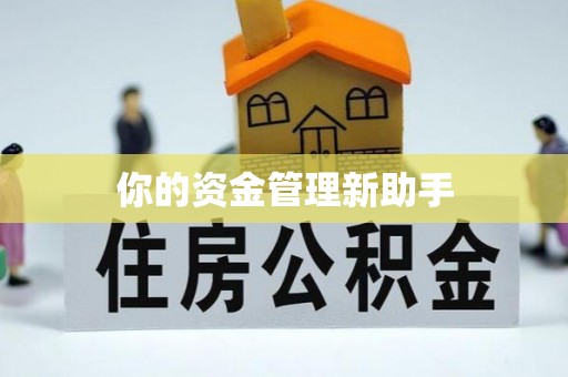 南朗你的资金管理新助手