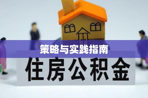 南朗策略与实践指南