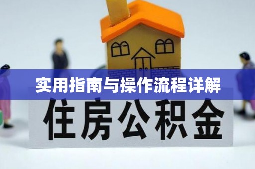 南朗实用指南与操作流程详解