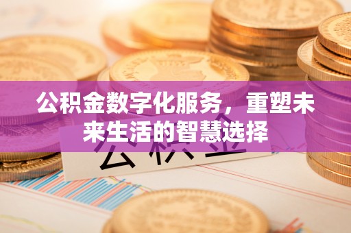 南朗公积金数字化服务，重塑未来生活的智慧选择