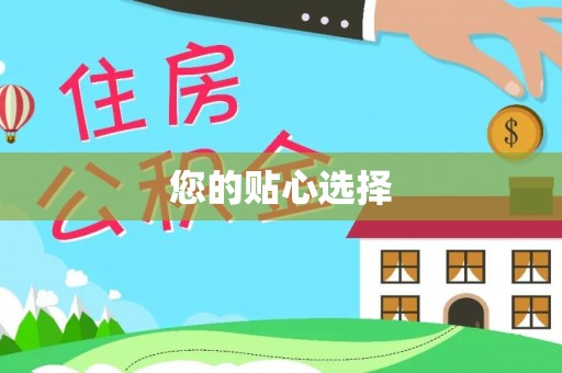 南朗您的贴心选择