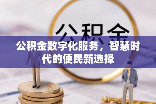 南朗公积金数字化服务，智慧时代的便民新选择