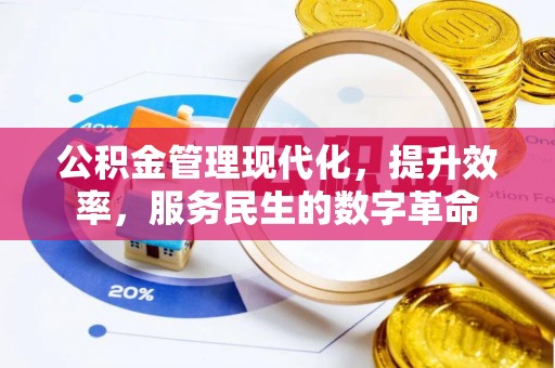 南朗公积金管理现代化，提升效率，服务民生的数字革命