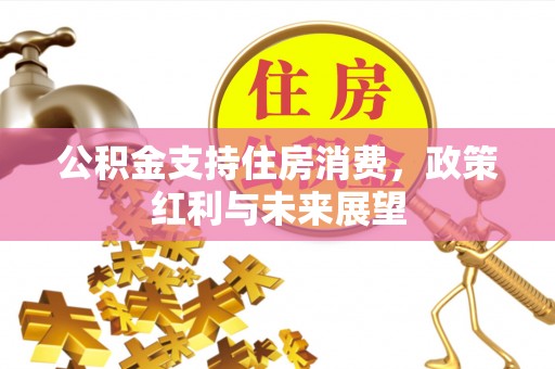 南朗公积金支持住房消费，政策红利与未来展望