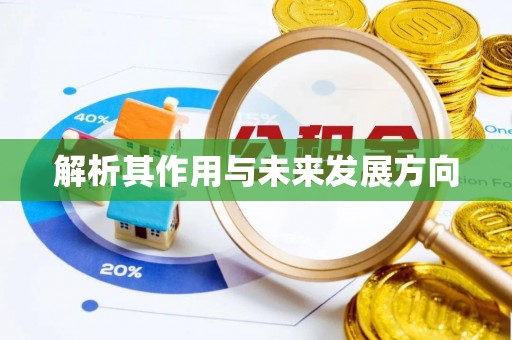 南朗解析其作用与未来发展方向